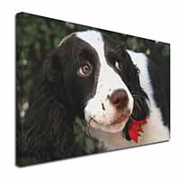 Springer Spaniel Dog and Flower Canvas X-Large 30"x20" Wall Art Print