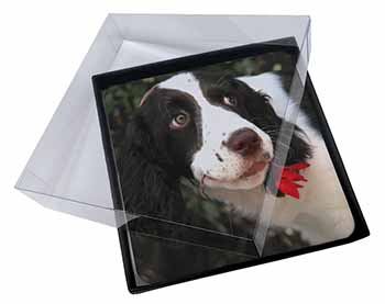 4x Springer Spaniel Dog and Flower Picture Table Coasters Set in Gift Box