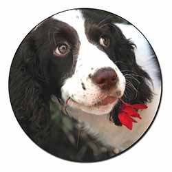 Springer Spaniel Dog and Flower Fridge Magnet Printed Full Colour