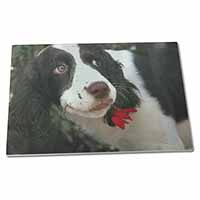 Large Glass Cutting Chopping Board Springer Spaniel Dog and Flower
