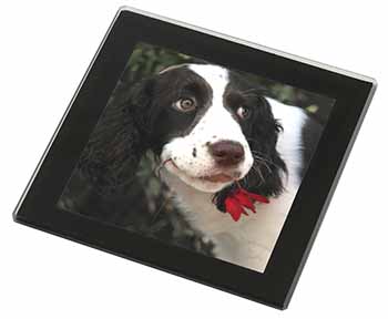 Springer Spaniel Dog and Flower Black Rim High Quality Glass Coaster