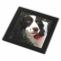 Springer Spaniel Dog and Flower Black Rim High Quality Glass Coaster