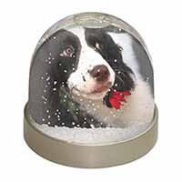 Springer Spaniel Dog and Flower Snow Globe Photo Waterball