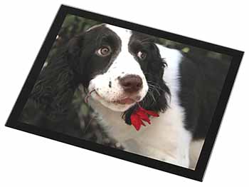 Springer Spaniel Dog and Flower Black Rim High Quality Glass Placemat