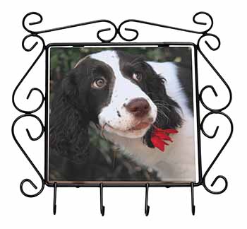 Springer Spaniel Dog and Flower Wrought Iron Key Holder Hooks