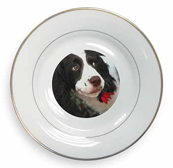 Springer Spaniel Dog and Flower Gold Rim Plate Printed Full Colour in Gift Box