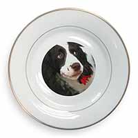 Springer Spaniel Dog and Flower Gold Rim Plate Printed Full Colour in Gift Box