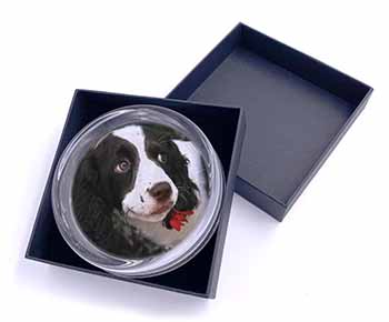 Springer Spaniel Dog and Flower Glass Paperweight in Gift Box