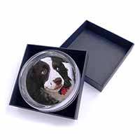 Springer Spaniel Dog and Flower Glass Paperweight in Gift Box