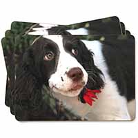 Springer Spaniel Dog and Flower Picture Placemats in Gift Box