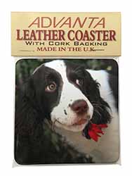 Springer Spaniel Dog and Flower Single Leather Photo Coaster