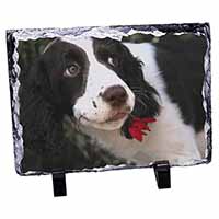 Springer Spaniel Dog and Flower, Stunning Photo Slate