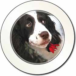 Springer Spaniel Dog and Flower Car or Van Permit Holder/Tax Disc Holder