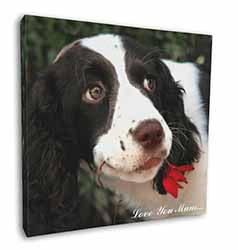 Springer Spaniel Dog 