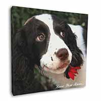 Springer Spaniel Dog 