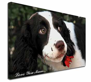 Springer Spaniel Dog 