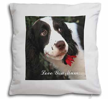 Springer Spaniel Dog 