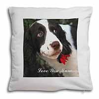 Springer Spaniel Dog 