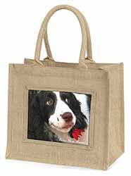 Springer Spaniel Dog 