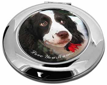 Springer Spaniel Dog 