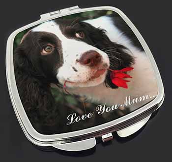 Springer Spaniel Dog 