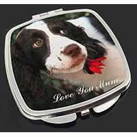 Springer Spaniel Dog 