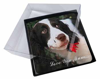 4x Springer Spaniel Dog 