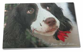 Large Glass Cutting Chopping Board Springer Spaniel Dog 