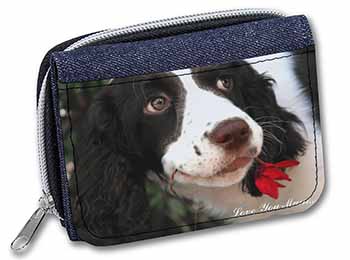 Springer Spaniel Dog 