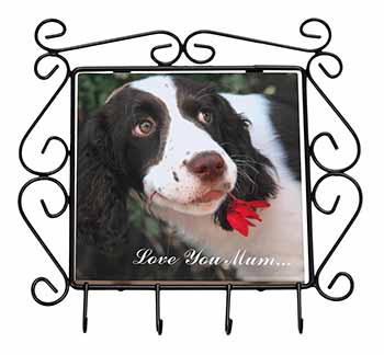 Springer Spaniel Dog 