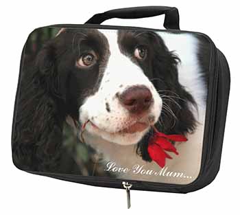 Springer Spaniel Dog 