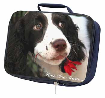 Springer Spaniel Dog 