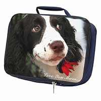 Springer Spaniel Dog 