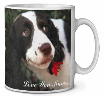 Springer Spaniel Dog 