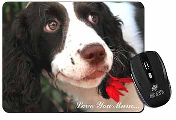 Springer Spaniel Dog 