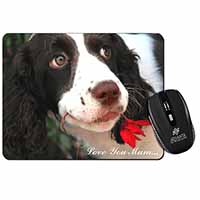 Springer Spaniel Dog 