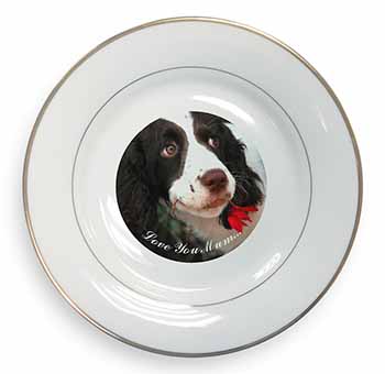 Springer Spaniel Dog 