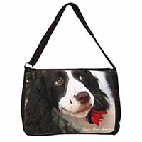 Springer Spaniel Dog 