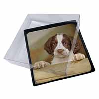4x Springer Spaniel Puppy Dog Picture Table Coasters Set in Gift Box
