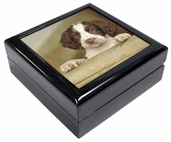 Springer Spaniel Puppy Dog Keepsake/Jewellery Box