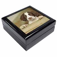 Springer Spaniel Puppy Dog Keepsake/Jewellery Box