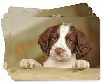 Springer Spaniel Puppy Dog Picture Placemats in Gift Box