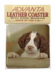 Springer Spaniel Puppy Dog Single Leather Photo Coaster