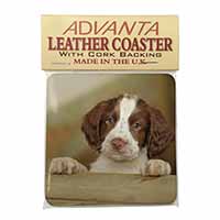 Springer Spaniel Puppy Dog Single Leather Photo Coaster