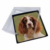 4x Springer Spaniel Dog Picture Table Coasters Set in Gift Box