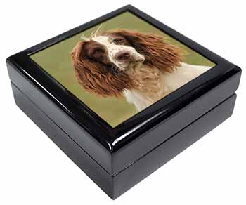 Springer Spaniel Dog Keepsake/Jewellery Box