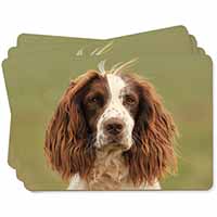 Springer Spaniel Dog Picture Placemats in Gift Box