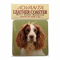 Springer Spaniel Dog Single Leather Photo Coaster