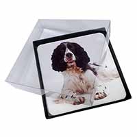 4x Black and White Springer Spaniel Picture Table Coasters Set in Gift Box