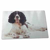 Large Glass Cutting Chopping Board Black and White Springer Spaniel